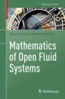 Mathematics of Open Fluid Systems - eBook