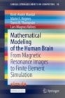 Mathematical Modeling of the Human Brain : From Magnetic Resonance Images to Finite Element Simulation - Book