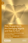 How Megaprojects Are Damaging Nigeria and How to Fix It : A Practical Guide to Mastering Very Large Government Projects - eBook