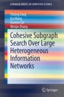 Cohesive Subgraph Search Over Large Heterogeneous Information Networks - Book