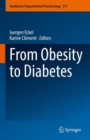 From Obesity to Diabetes - eBook