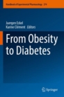 From Obesity to Diabetes - Book
