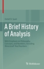 A Brief History of Analysis : With Emphasis on Philosophy, Concepts, and Numbers, Including Weierstrass' Real Numbers - Book