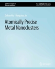 Atomically Precise Metal Nanoclusters - eBook