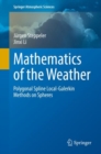 Mathematics of the Weather : Polygonal Spline Local-Galerkin Methods on Spheres - Book