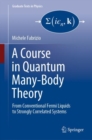 A Course in Quantum Many-Body Theory : From Conventional Fermi Liquids to Strongly Correlated Systems - Book