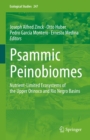 Psammic Peinobiomes : Nutrient-Limited Ecosystems of the Upper Orinoco and Rio Negro Basins - eBook