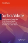 Surface/Volume : How Geometry Explains Why Grain Elevators Explode, Hummingbirds Hover, and Asteroids are Colder than Ice - eBook