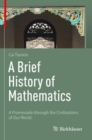 A Brief History of Mathematics : A Promenade through the Civilizations of Our World - Book