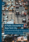 A Public Encounter in New York City : A Phenomenological View on a Sobering Experience - Book