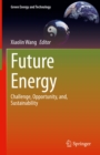 Future Energy : Challenge, Opportunity, and, Sustainability - eBook