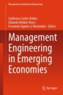 Management Engineering in Emerging Economies - eBook
