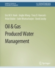 Oil & Gas Produced Water Management - Book