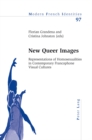 New Queer Images : Representations of Homosexualities in Contemporary Francophone Visual Cultures - Book