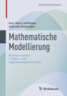 Mathematische Modellierung : Grundprinzipien in Natur- und Ingenieurwissenschaften - eBook