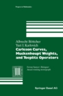 Carleson Curves, Muckenhoupt Weights, and Toeplitz Operators - eBook
