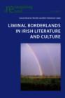 Liminal Borderlands in Irish Literature and Culture - eBook