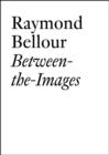 Raymond Bellour : Between-the-Images - Book
