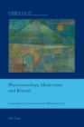 Phenomenology, Modernism and Beyond - Book