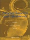 Zwischen Rauschen und Offenbarung : Zur Kultur- und Mediengeschichte der Stimme - eBook