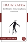 Zerstreutes Hinausschaun - eBook