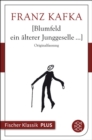 Blumfeld ein alterer Junggeselle... - eBook