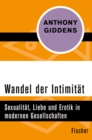 Wandel der Intimitat : Sexualitat, Liebe und Erotik in modernen Gesellschaften - eBook
