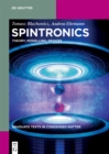 Spintronics : Theory, Modelling, Devices - eBook