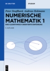 Numerische Mathematik 1 : Eine algorithmisch orientierte Einfuhrung - eBook