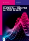 Numerical Analysis on Time Scales - eBook