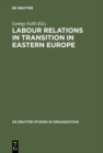 Labour Relations in Transition in Eastern Europe - eBook