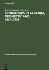 Semigroups in Algebra, Geometry and Analysis - eBook