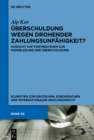 Uberschuldung wegen drohender Zahlungsunfahigkeit? : Aussicht auf Fortbestehen zur Widerlegung der Uberschuldung - eBook