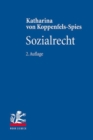 Sozialrecht - Book