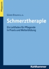 Schmerztherapie : Ein Leitfaden fur Pflegende in Praxis und Weiterbildung - eBook