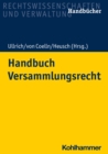 Handbuch Versammlungsrecht - eBook