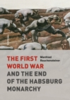 The First World War : and the End of the Habsburg Monarchy, 1914-1918 - eBook