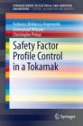 Safety Factor Profile Control in a Tokamak - eBook