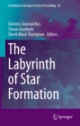 The Labyrinth of Star Formation - eBook