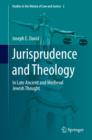 Jurisprudence and Theology : In Late Ancient and Medieval Jewish Thought - eBook