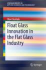 Float Glass Innovation in the Flat Glass Industry - eBook