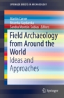 Field Archaeology from Around the World : Ideas and Approaches - eBook
