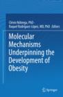Molecular Mechanisms Underpinning the Development of Obesity - eBook