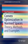 Convex Optimization in Normed Spaces : Theory, Methods and Examples - eBook