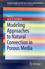 Modeling Approaches to Natural Convection in Porous Media - eBook