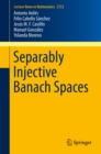 Separably Injective Banach Spaces - eBook