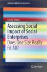 Assessing Social Impact of Social Enterprises : Does One Size Really Fit All? - eBook