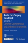 Acute Care Surgery Handbook : Volume 2 Common Gastrointestinal and Abdominal Emergencies - eBook