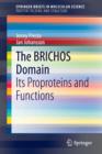 The BRICHOS Domain : Its Proproteins and Functions - Book