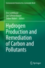 Hydrogen Production and Remediation of Carbon and Pollutants - eBook